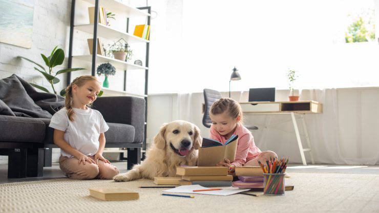 Il READ dog per bambini Il READ dog per bambini