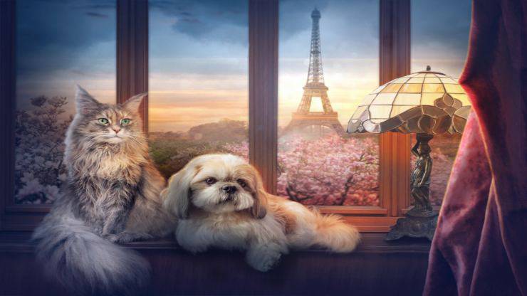 Animali in francese