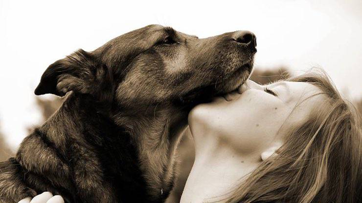 Cane con padrona Cane padrona