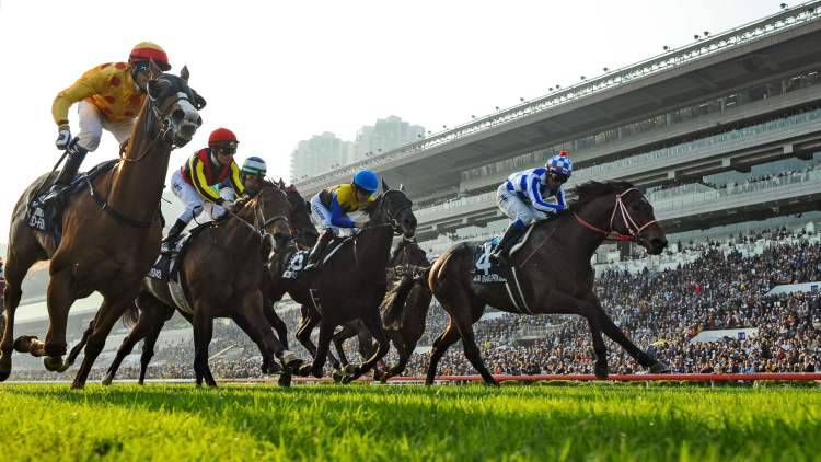 Doping Cavalli Scuderia