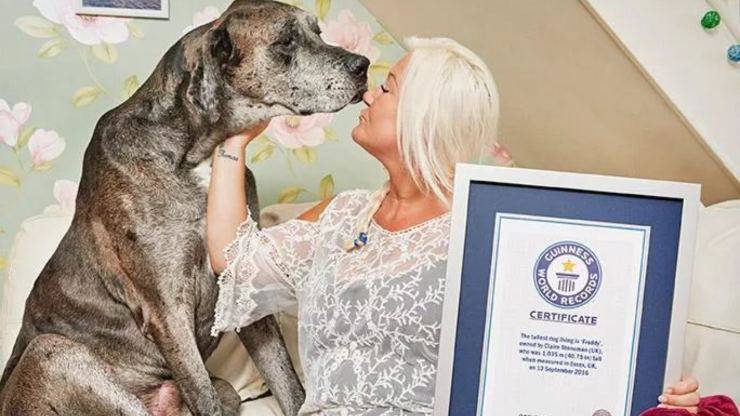 Morto Freddy Cane Più Alto Mondo