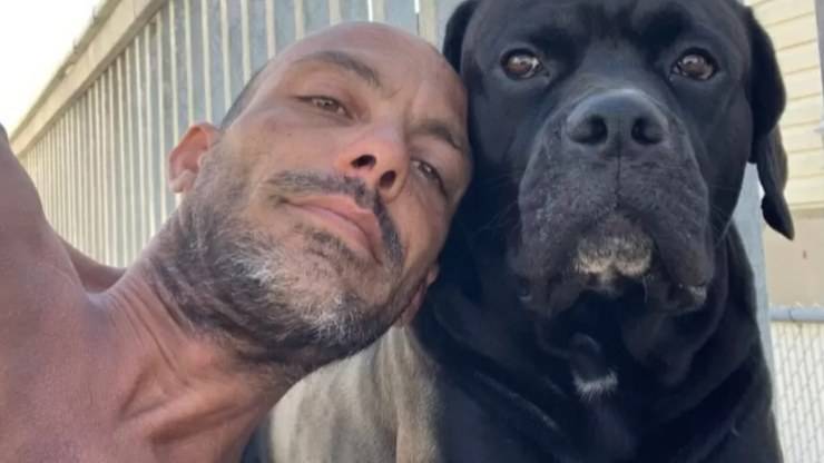 Cane Shadow Scomparso Video