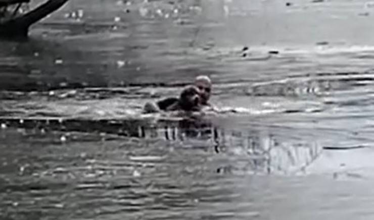 Cane Lago Padrone Londra Video