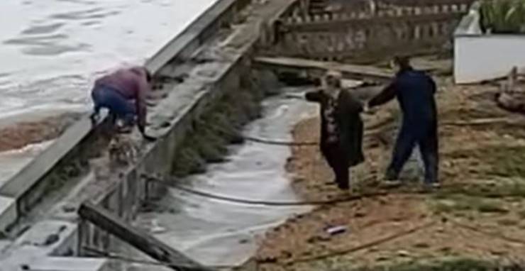 Donna Cane Mareggiata Video