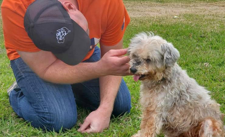 Cagnolina Maddie Uragano