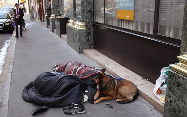 Clochard Cani Regolemento