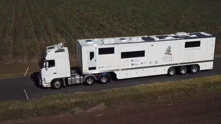 ospedale mobile cura animali selvatici
