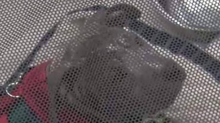 Il cucciolo abbandonato (Foto video)