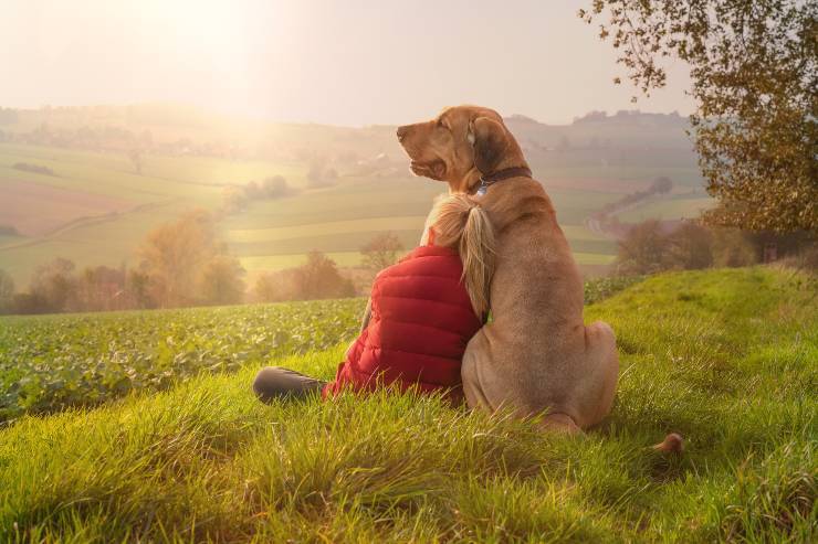 cane difende i bambini