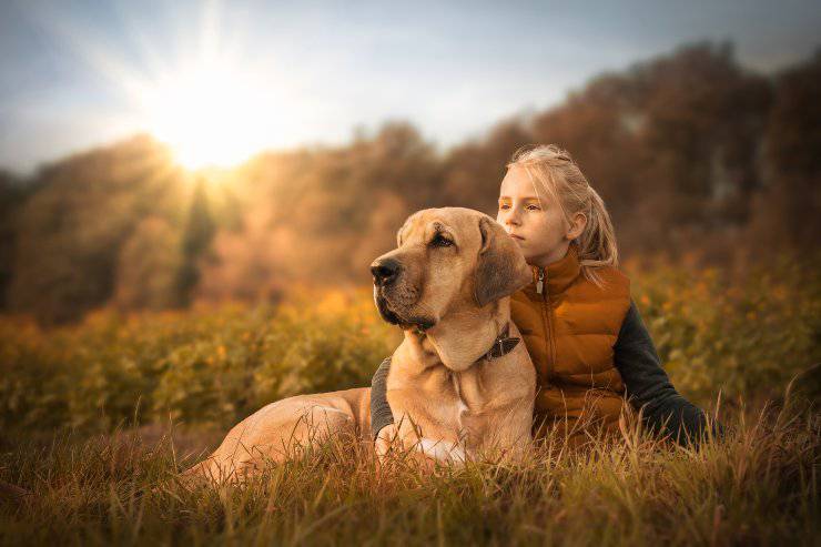 cane difende bambini