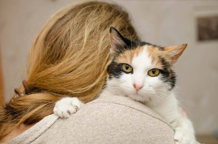 I gatti amano le donne I gatti amano le donne