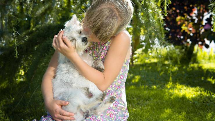Cane in braccio ad una bimba Cane con bimba