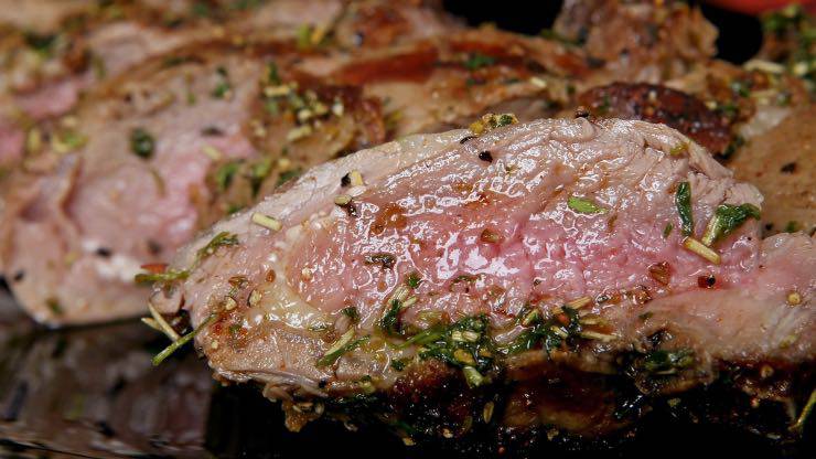 Carne per il cane carne per cane