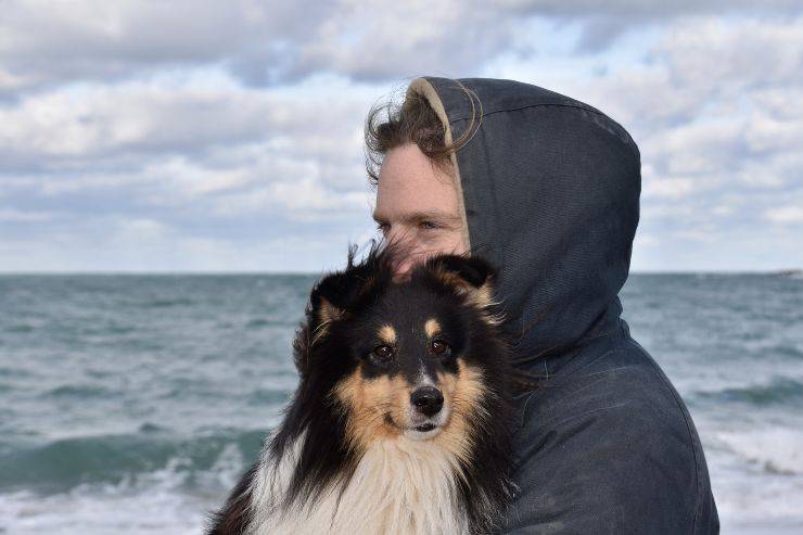 Il cane difende il padrone Il cane difende il padrone
