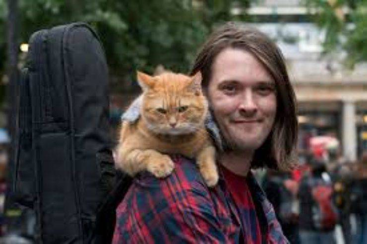I gatti più ricchi del mondo: Bob I gatti più ricchi del mondo: Bob