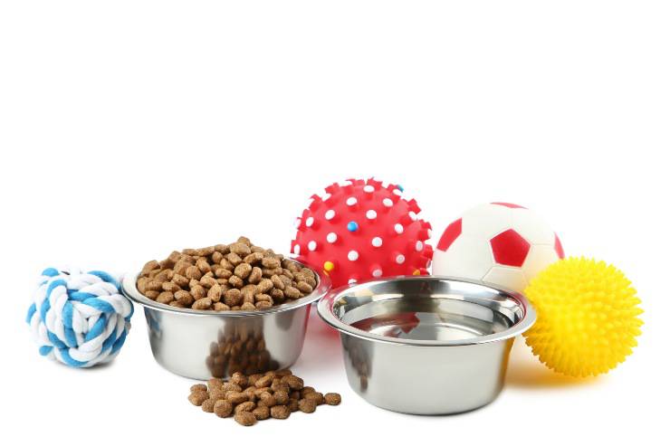giochi cane