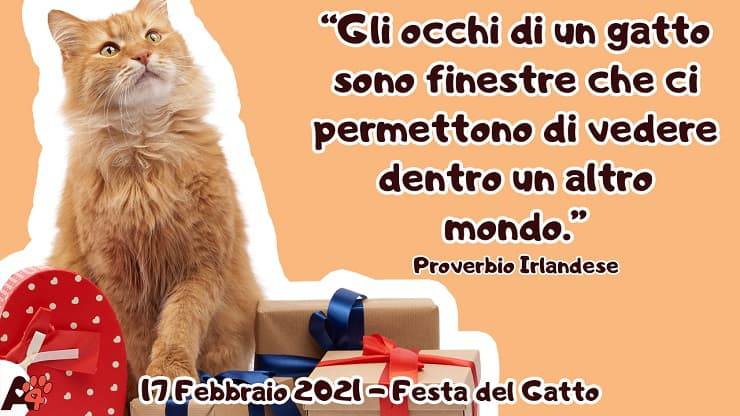 festa del gatto 2021