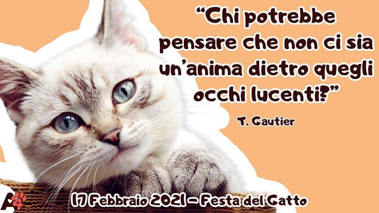 citazioni sui gatti