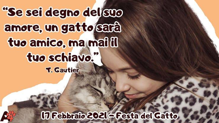dedica per il gatto 