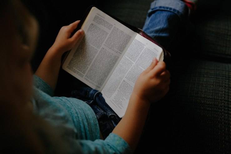 Il READ dog per bambini con difficoltà Il READ dog per bambini con difficoltà