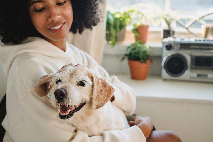 Il cane e il suo sbadiglio