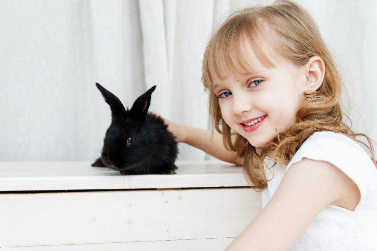 Bambina accarezza coniglio nero