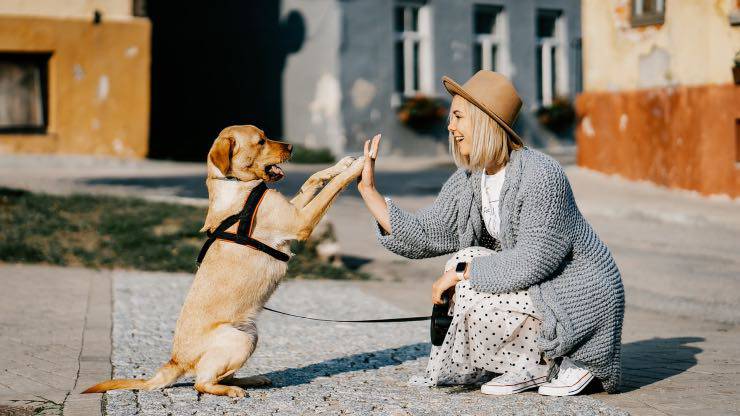 Ragazza col cane