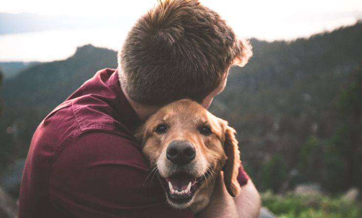 ragazzo abbraccia un cane