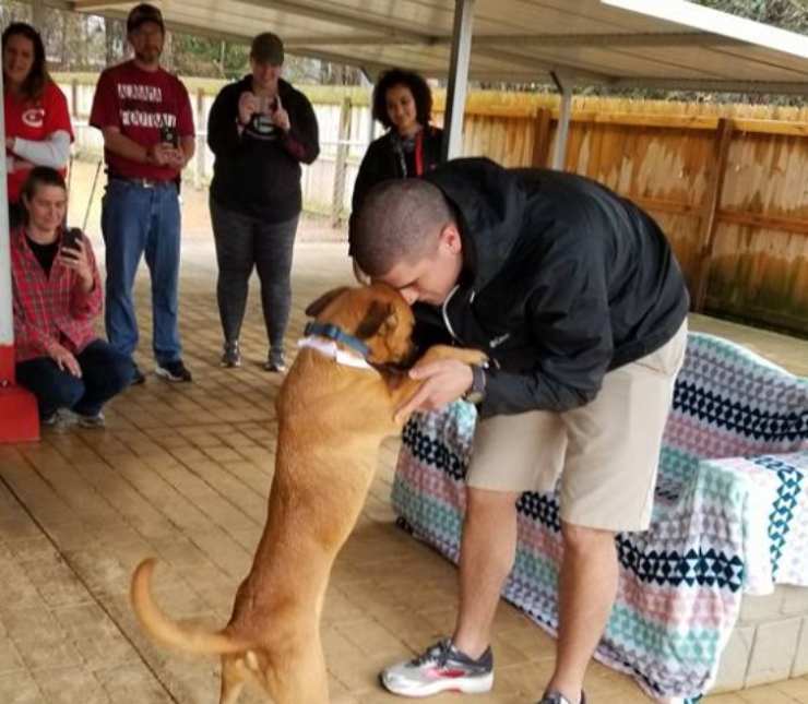cagnolino scappa proprietario due settimane