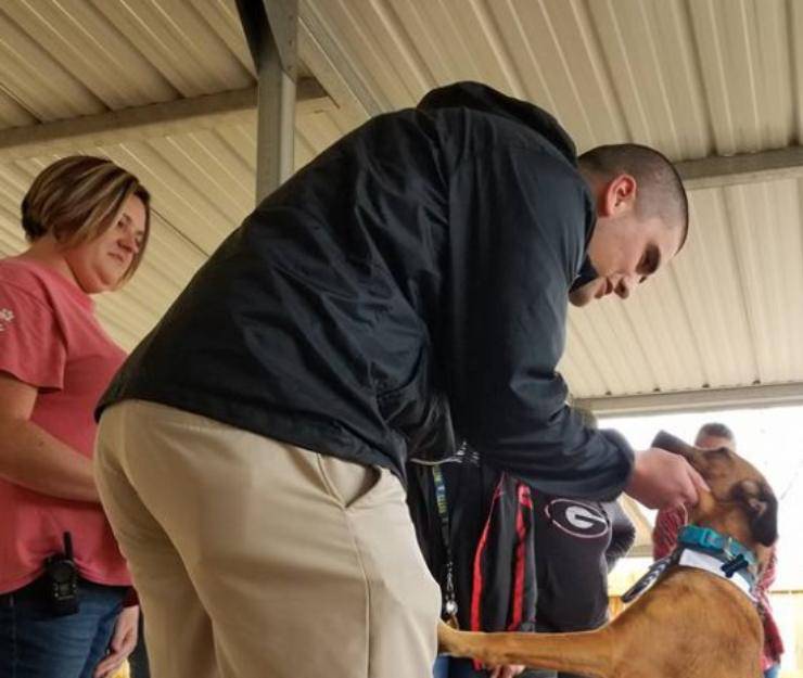 cagnolino scappa proprietario due settimane