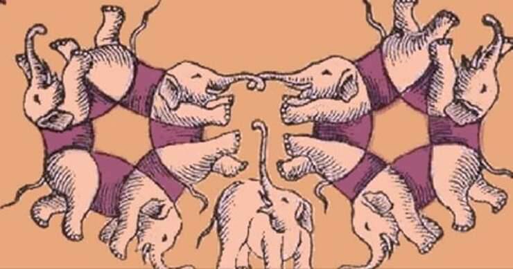 Illusione ottica degli elefanti , quanti riuscite a vederne nell'immagine ?