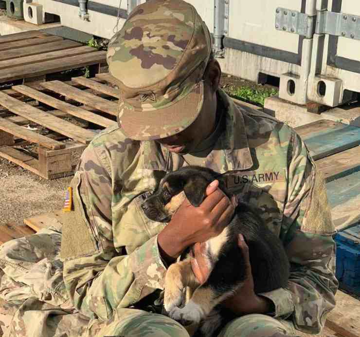 sergente esercito riunisce cucciolo cane