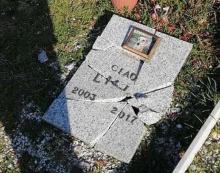 lapidi distrutte cimitero animali