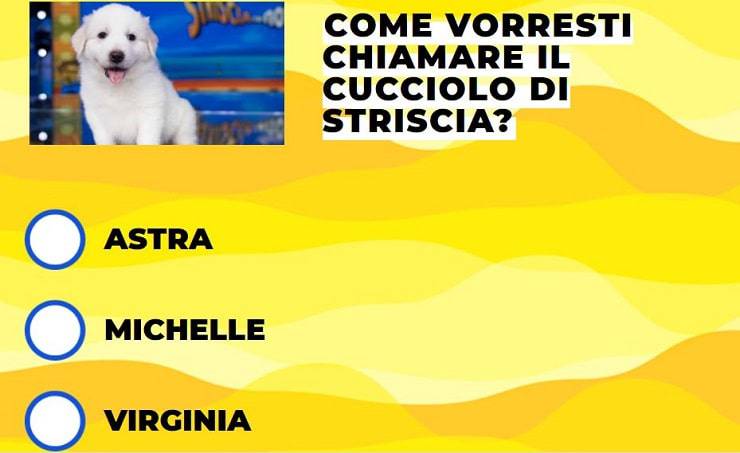 cane di Striscia la Notizia marzo 2021