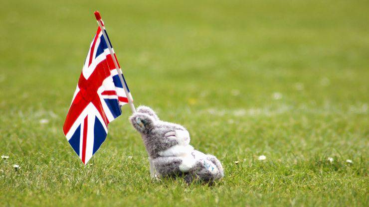 Animali in inglese