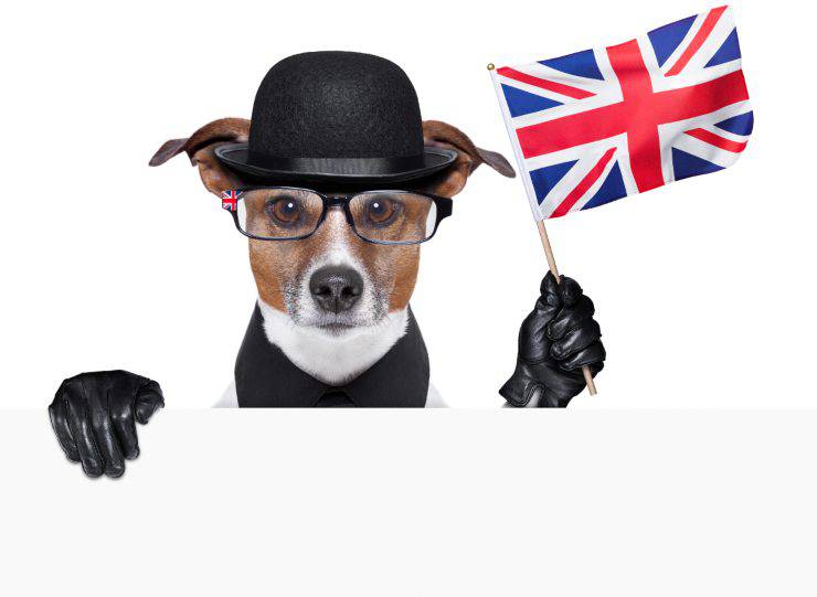 Animali in inglese