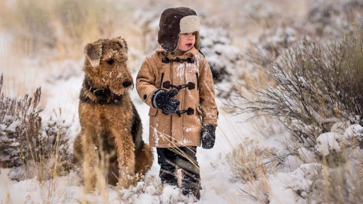 Airedale Terrier con i bambini Airedale Terrier con i bambini