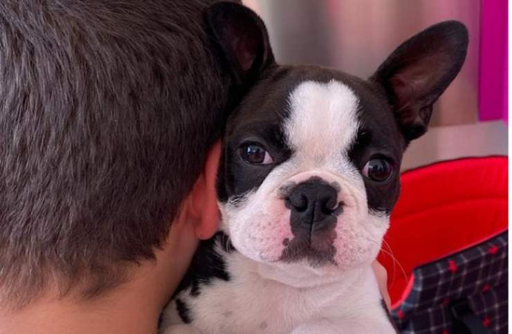 Cagnolina Kira (Foto Instagram)