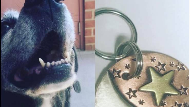Il ciondolo in ricordo del cane (Foto Instagram)