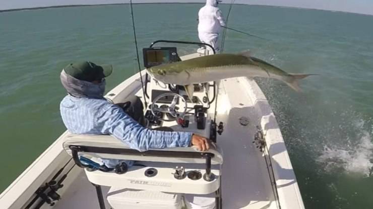 Salto Pesce Pescatore Video
