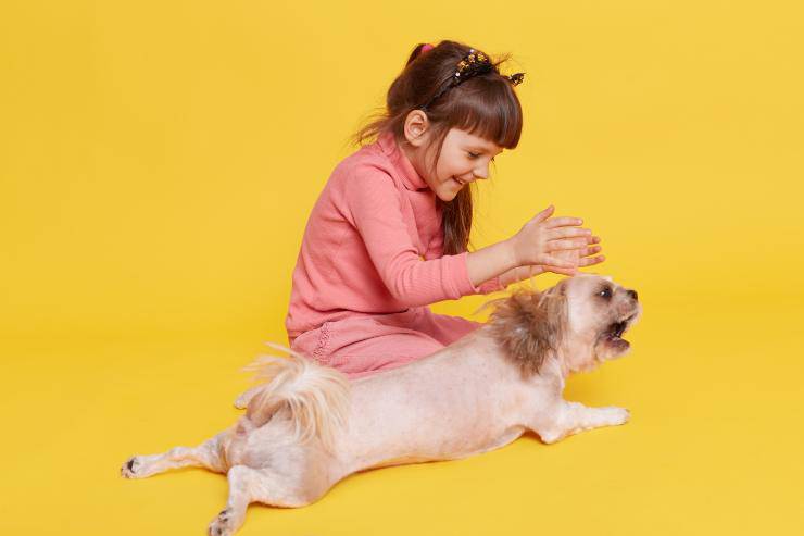 bambina e cane