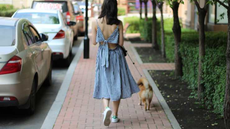 cane a passeggio con padrone cane vuole tornare subito a casa