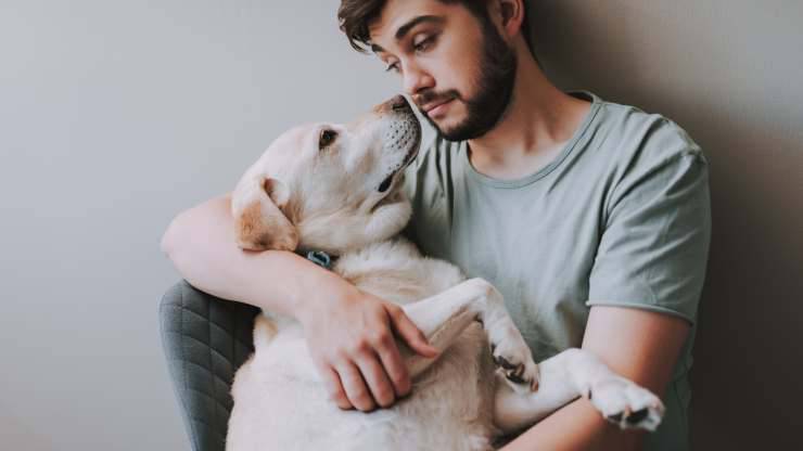 cose che fanno male al cane