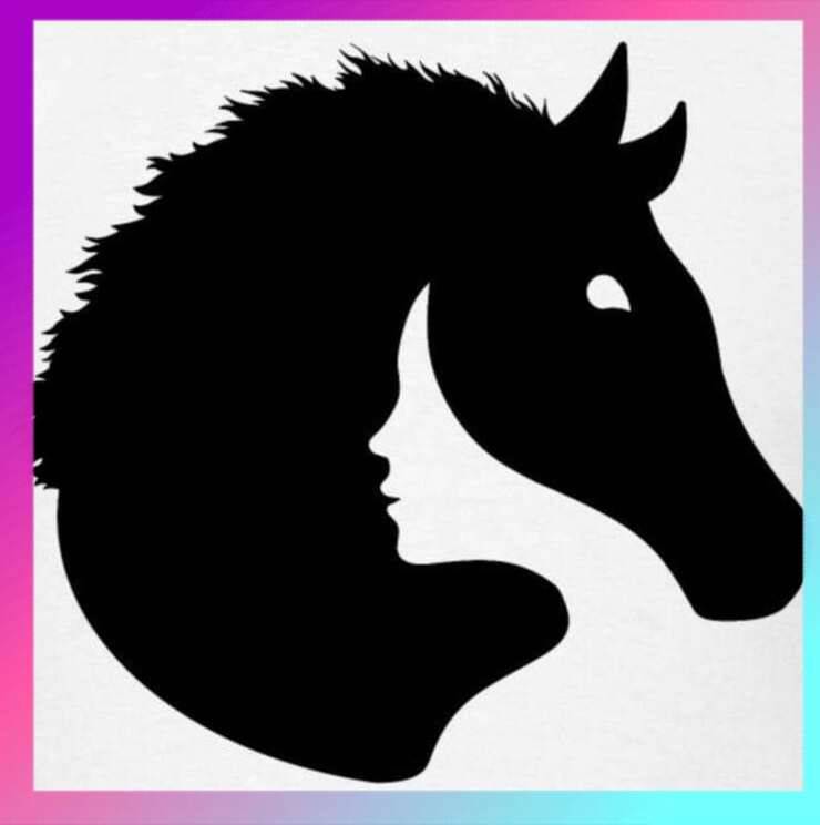 Il cavallo nel Test visivo della personalità