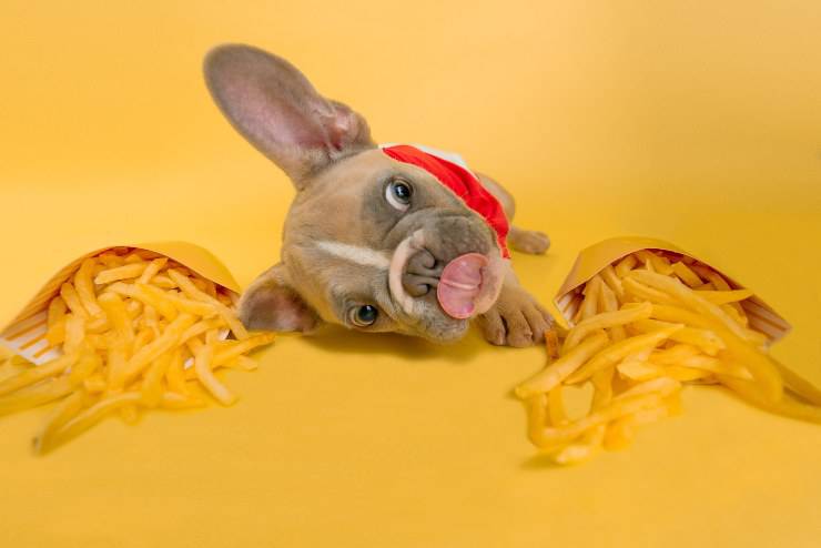 Premi vietati per fido