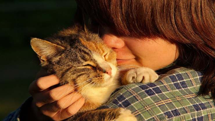 I gatti dimenticano le persone 