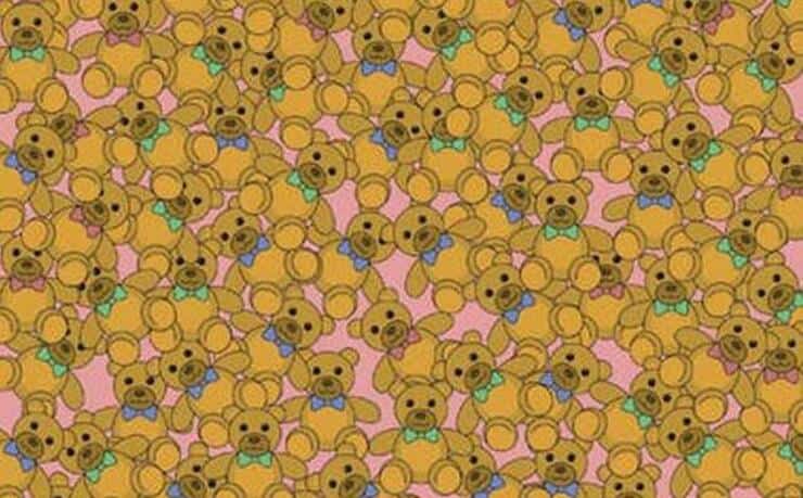 Il test visivo degli orsi di peluche trova quello diverso dagli altri