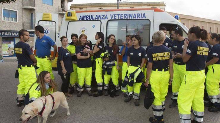 Ambulanza Veterinaria Brescia 