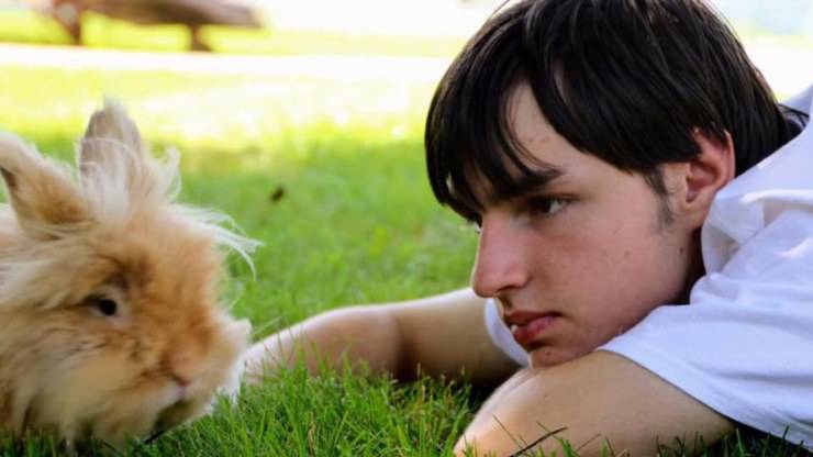 Caleb Ragazzo Addestra Conigli Bambini 