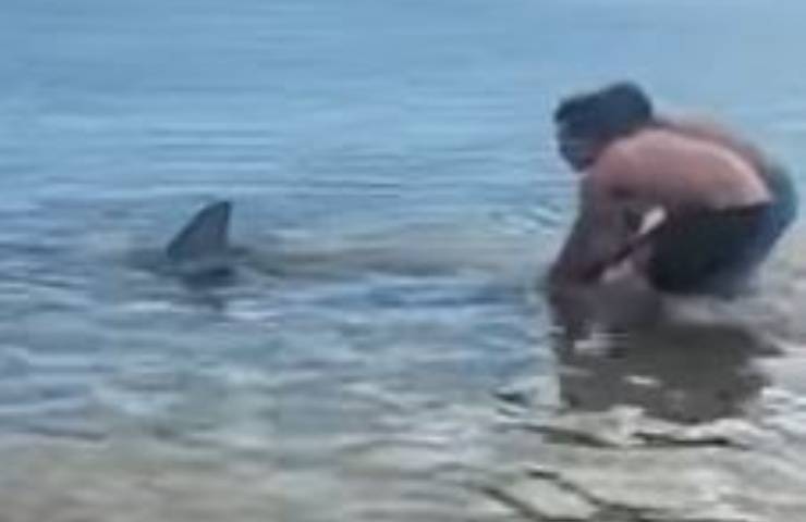 Squalo Bagnanti Riva Video